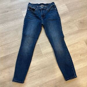 Lucky Brand AVA Skinny Mid Rise Jean Sz 4/27 A